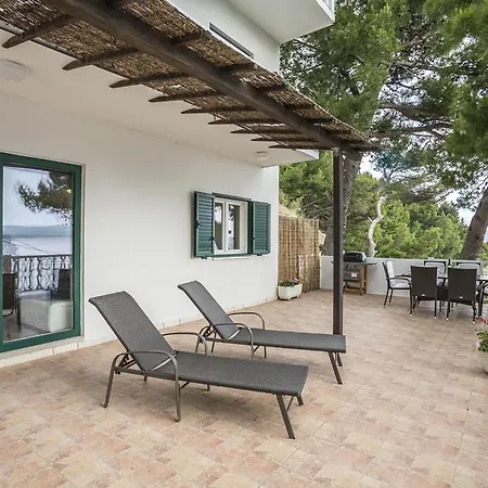 Appartement Tam Tam Mimice