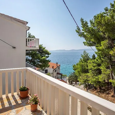 Appartement Tam Tam Mimice