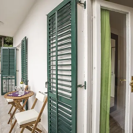 Tam Tam Appartement Mimice